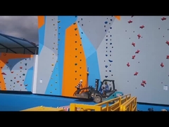 Controles adultos de la escalada para el parque de atracciones para el gimnasio