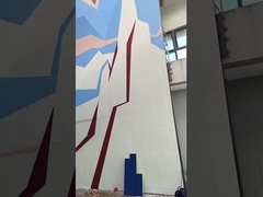 Escalada al aire libre profesional artificial adulta del patio de la pared que sube